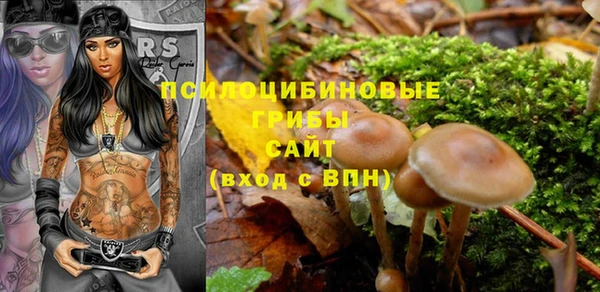 гашик Алексин