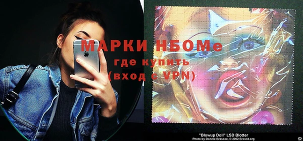 гашик Алексин
